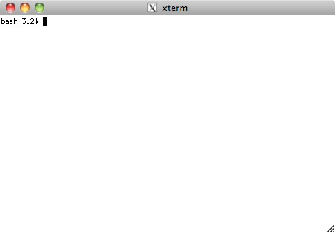 Screenshot showing a basic X11 terminal in Mac OS X